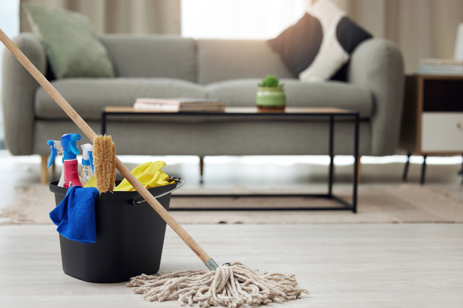 HOME 3 deep home cleaning magic